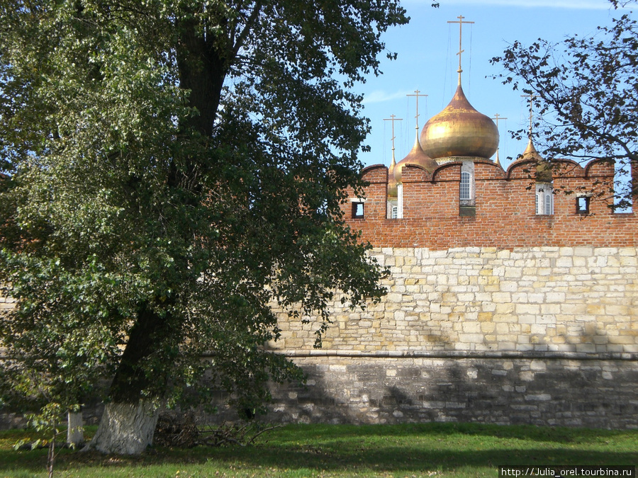 Маковки собора Тула, Россия