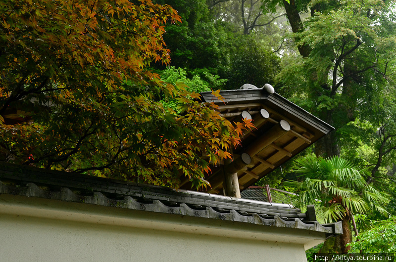 Хасэдэра: храм Сакурай, Япония