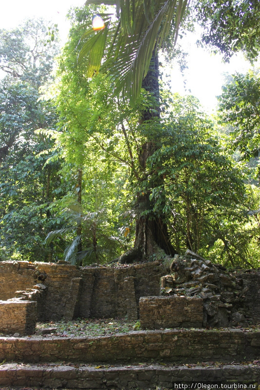 Заросшие джунглями руины Паленке, Мексика