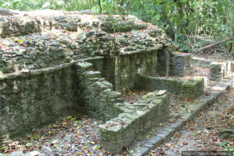 Древние руины Паленке, Мексика