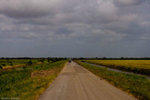 Дороги в Суринаме пустынные и узкие. Особенно в западной части, где шоссе больше похоже на сельский проселок.