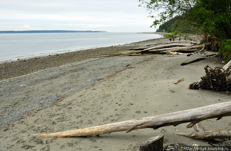 Гуляем по парку South Whidbey Остров Уидби, CША