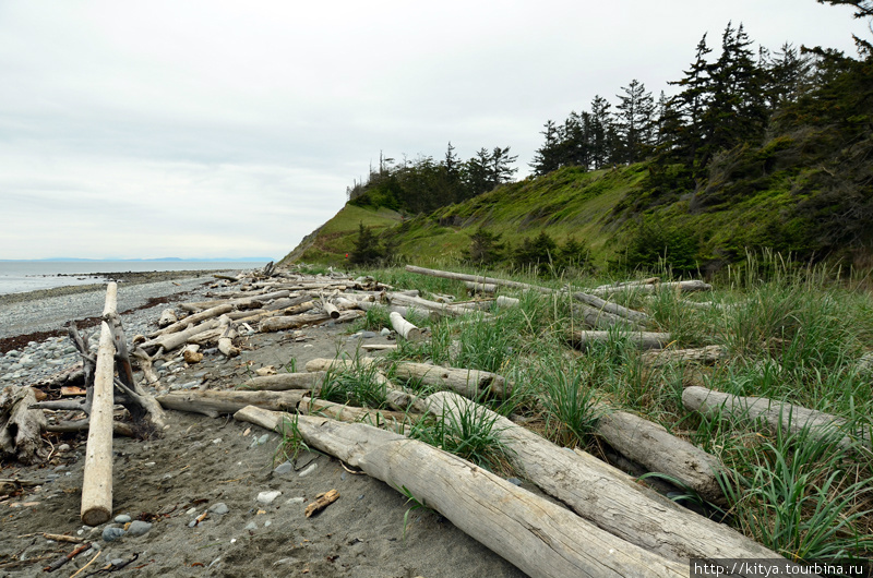 Гуляем по парку South Whidbey Остров Уидби, CША