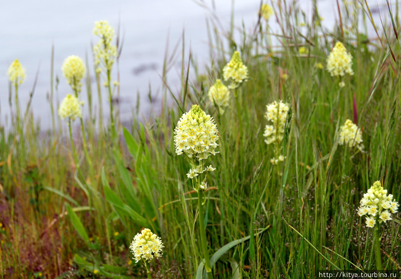 Гуляем по парку South Whidbey Остров Уидби, CША