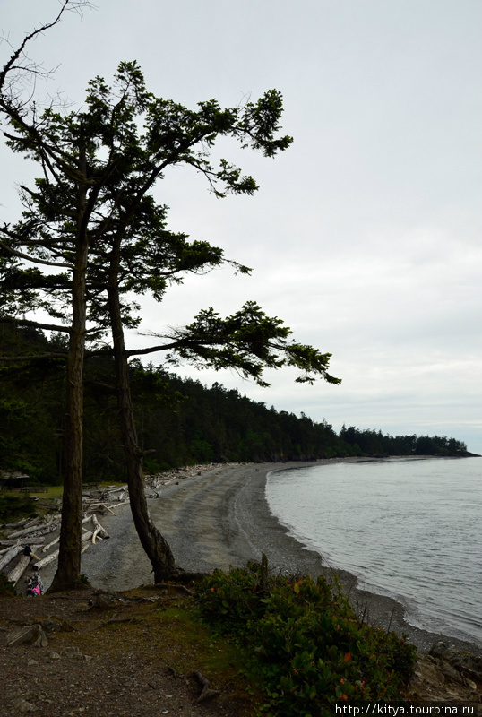 Гуляем по берегам Deception Pass Остров Уидби, CША