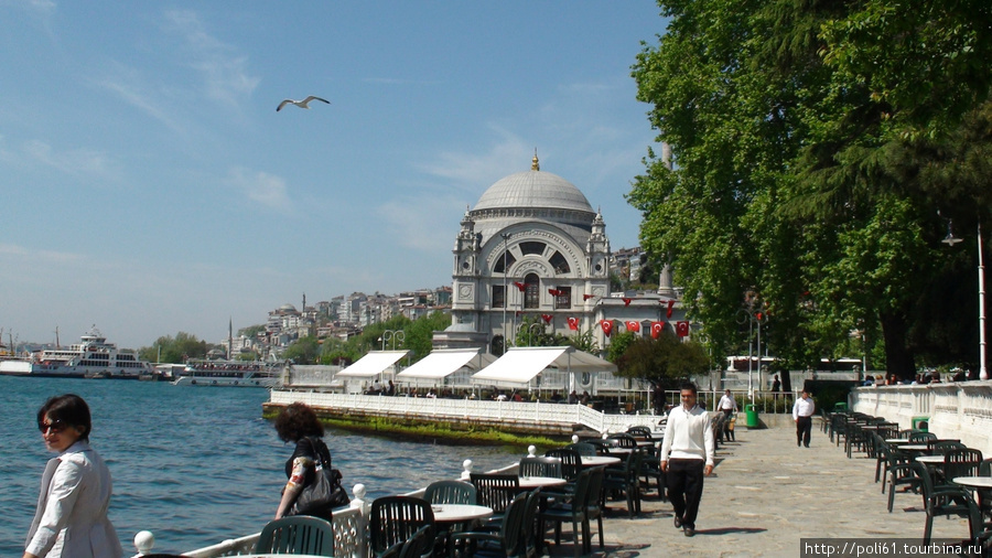 Красивый парк дворца Долмабахче Стамбул, Турция