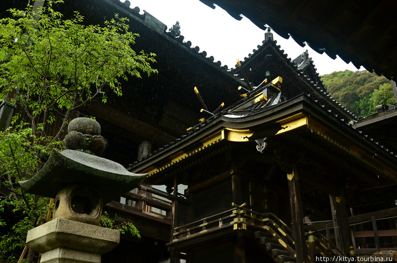 Храм Хасэдэра Сакурай, Япония