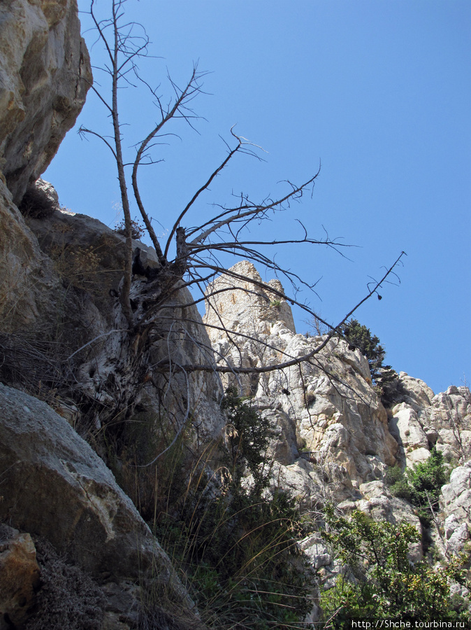 Замок Святого Иллариона- самая сохранившаяся крепость Кипра Святого Иллариона замок, Турецкая Республика Северного Кипра