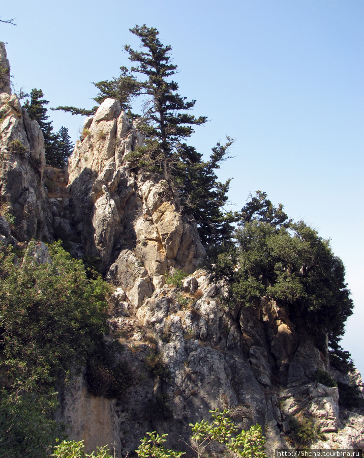 На Северном Кипре стоит одиноко на горном утесе сосна Святого Иллариона замок, Турецкая Республика Северного Кипра