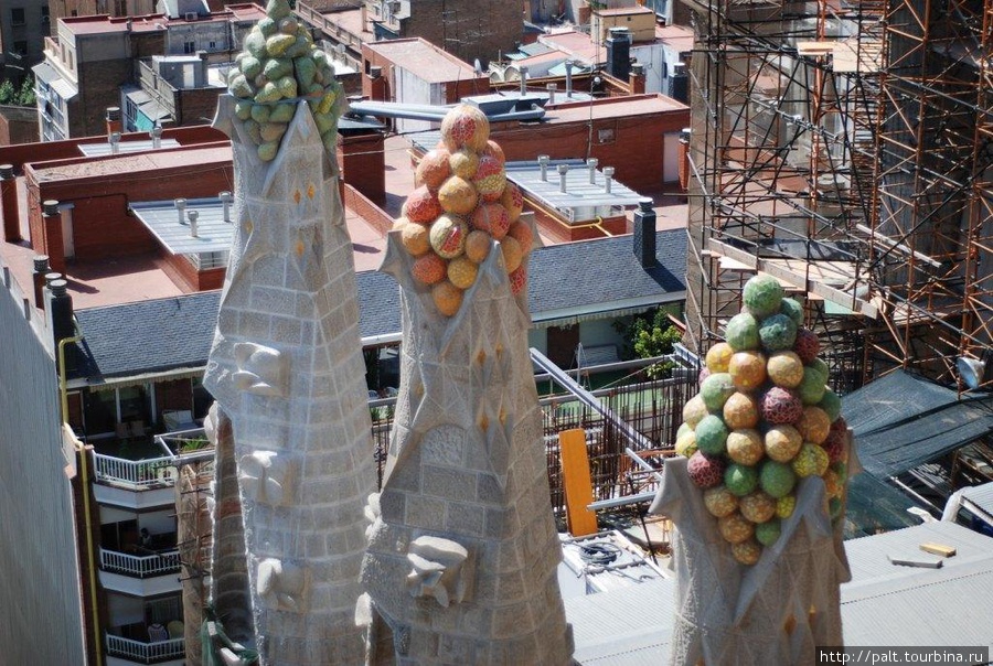 Экзотические фрукты Барселона, Испания