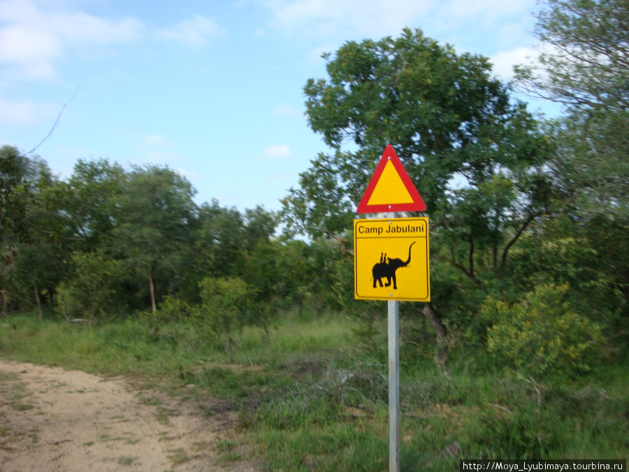 не ходите дети в Африку гулять... Национальный парк Крюгер, ЮАР