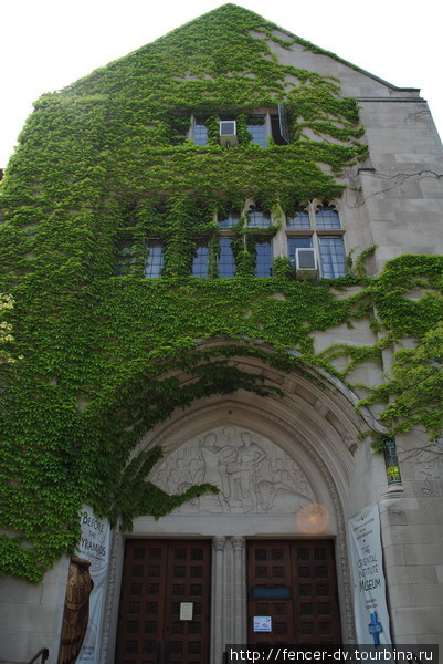 University of Chicago. В одном из лучших университетов мира.