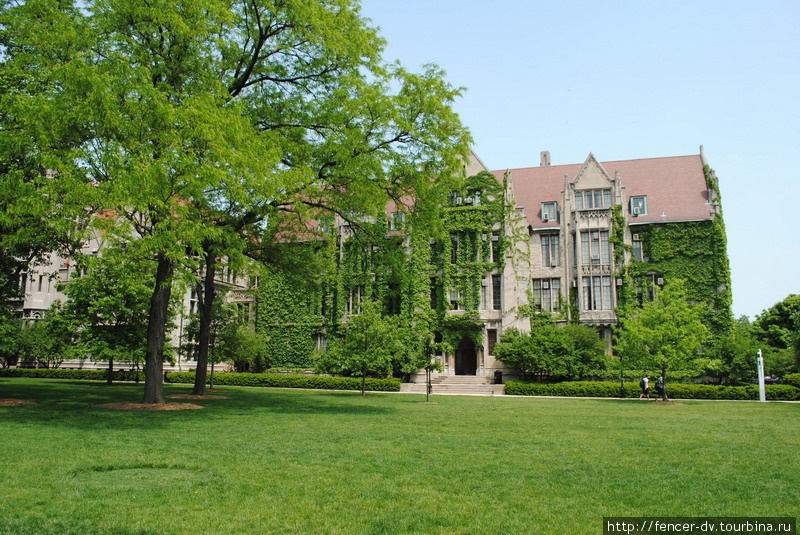 University of Chicago. В одном из лучших университетов мира.