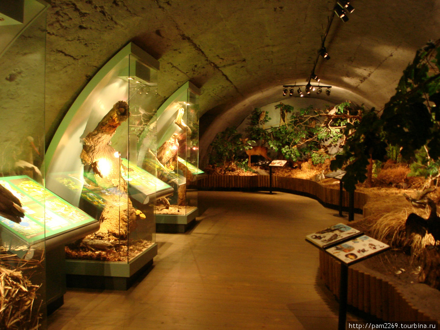 в музее Тршебонь, Чехия