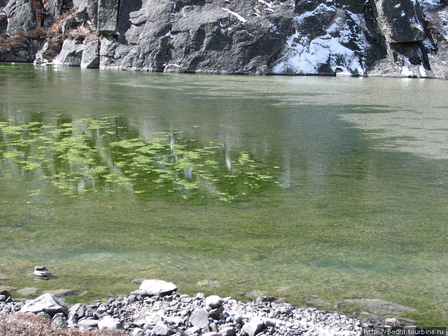 Первое озеро. В нем есть клевые водоросли Гокьо, Непал