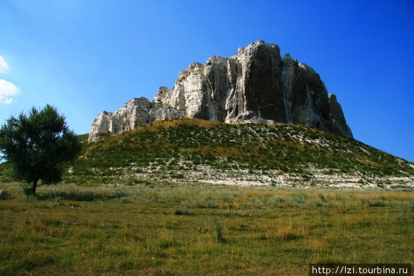 Меловые скалы Белокузьминовка, Украина