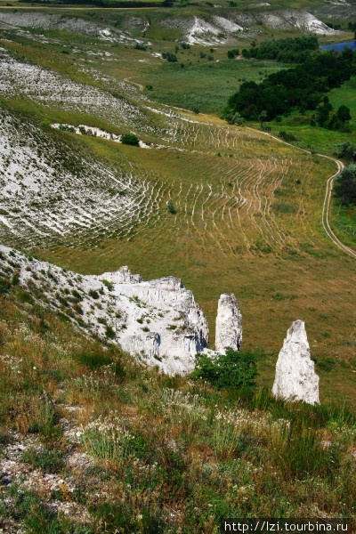 Меловые скалы Белокузьминовка, Украина