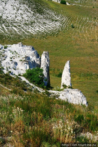 Меловые скалы Белокузьминовка, Украина