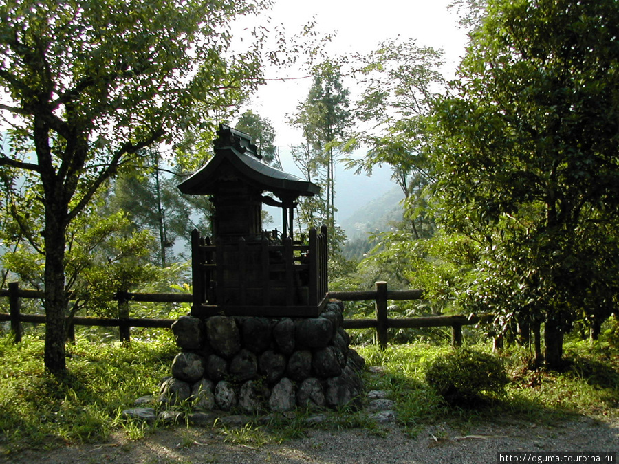 Если есть время до начала танцев, можно подняться к крепости Гудзё, которая расположена тут же рядом, на гору Гудзё, Япония
