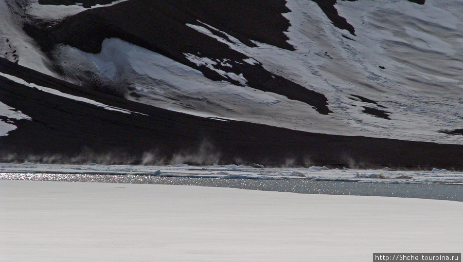 Вдали мы видели пары теплой воды, где нам было обещано купание... Остров Десепшн, Антарктида