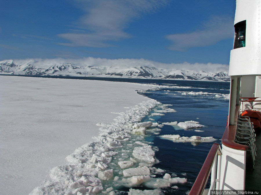 Капитан осторожно, сперва попробовав толщину льда по касательной к льдине, начал побиваться через лед к берегу Остров Десепшн, Антарктида