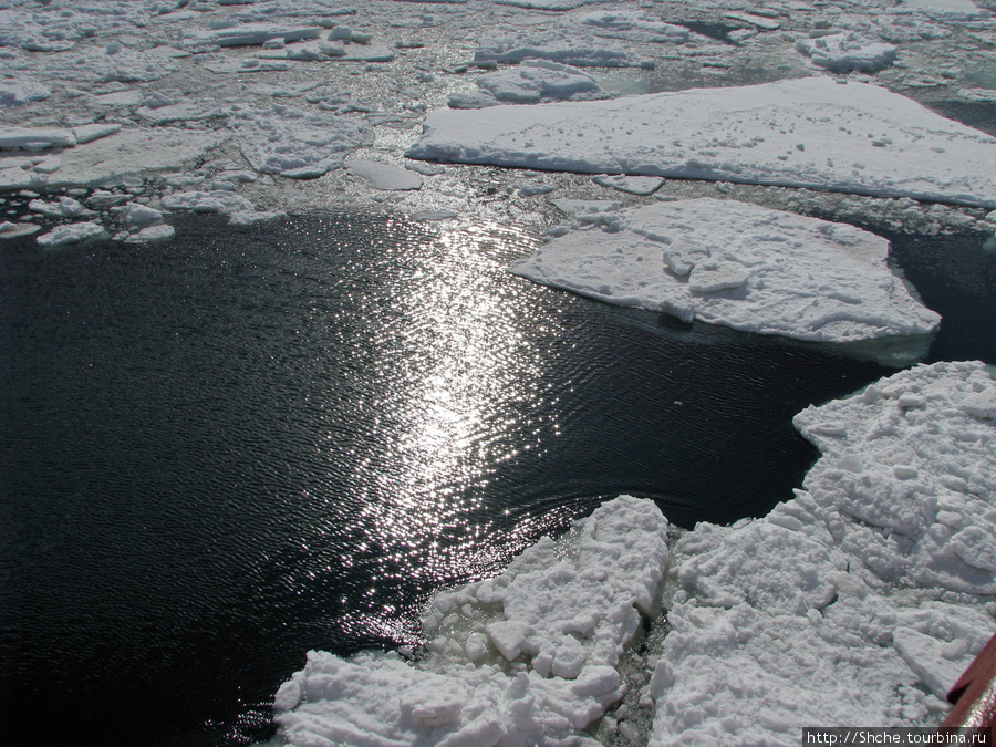 Deception Island — пройти внутри вулкана, все без обмана Остров Десепшн, Антарктида