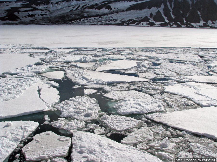 Deception Island — пройти внутри вулкана, все без обмана Остров Десепшн, Антарктида