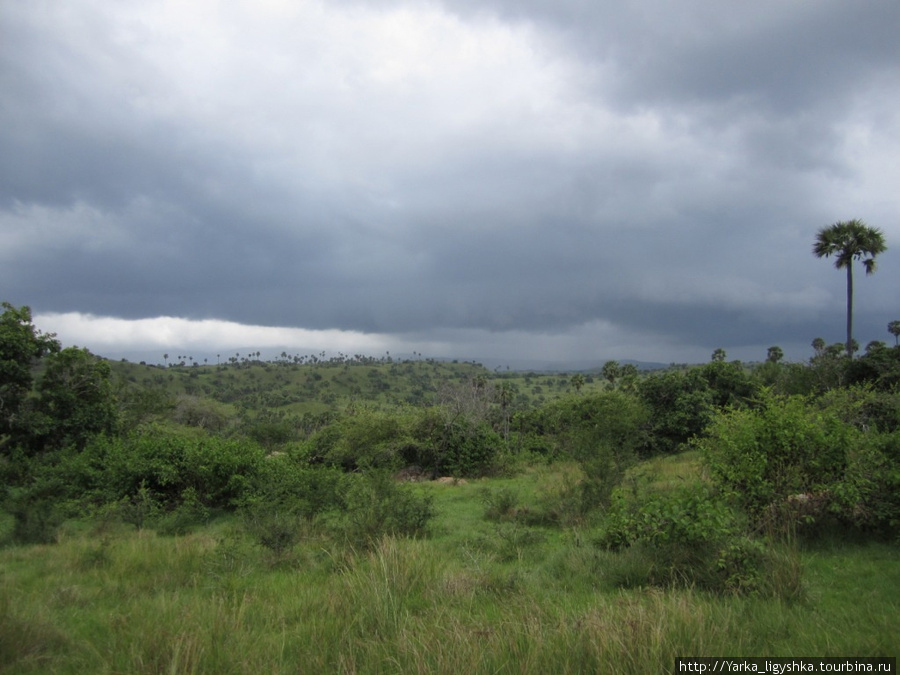 Гроза, надвинувшаяся на совершенно чистое небо за 5-7 минут. Ринча Комодо Национальный Парк, Индонезия