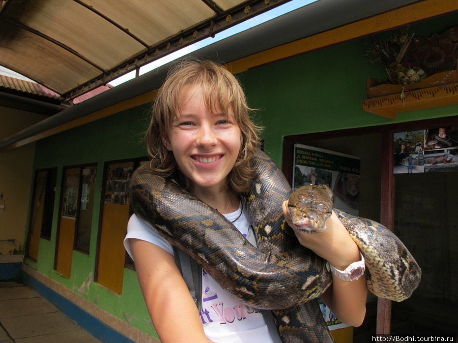 Потрогать можно зверя который справа Данау-Братан, Индонезия