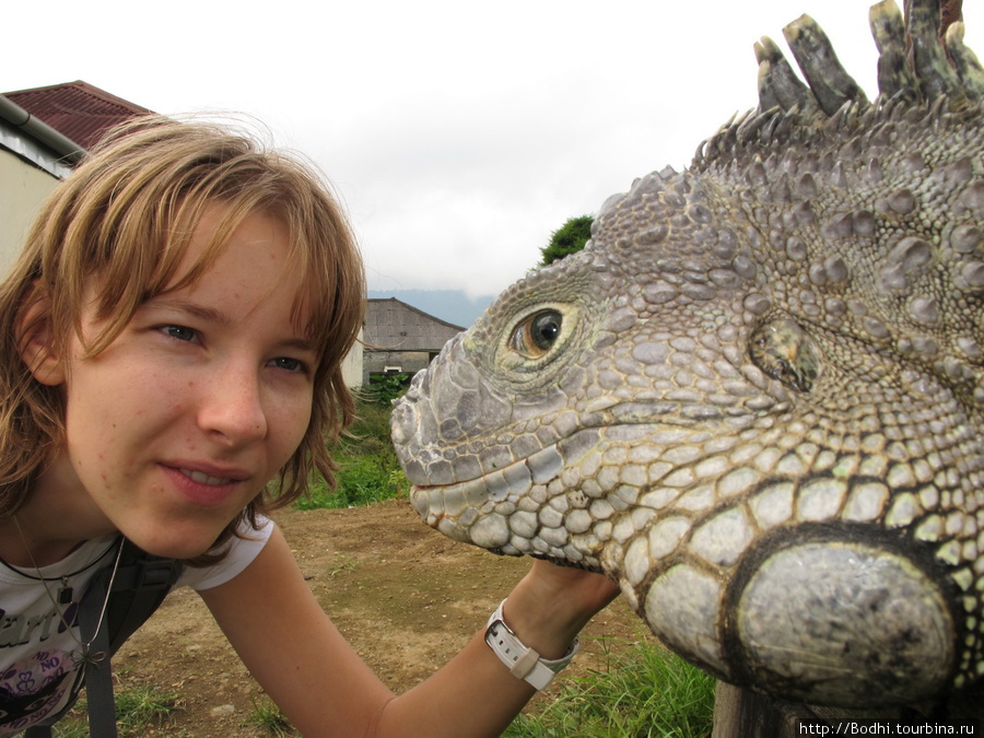 Риса и динозавр (динозавр — справа) Данау-Братан, Индонезия