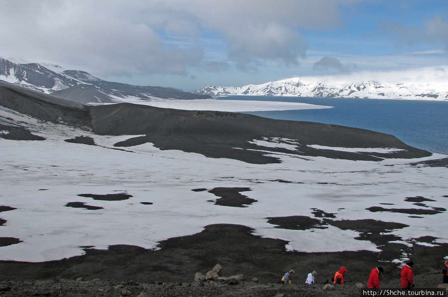 вот так гуськом перемещаемся по кратеру Остров Десепшн, Антарктида
