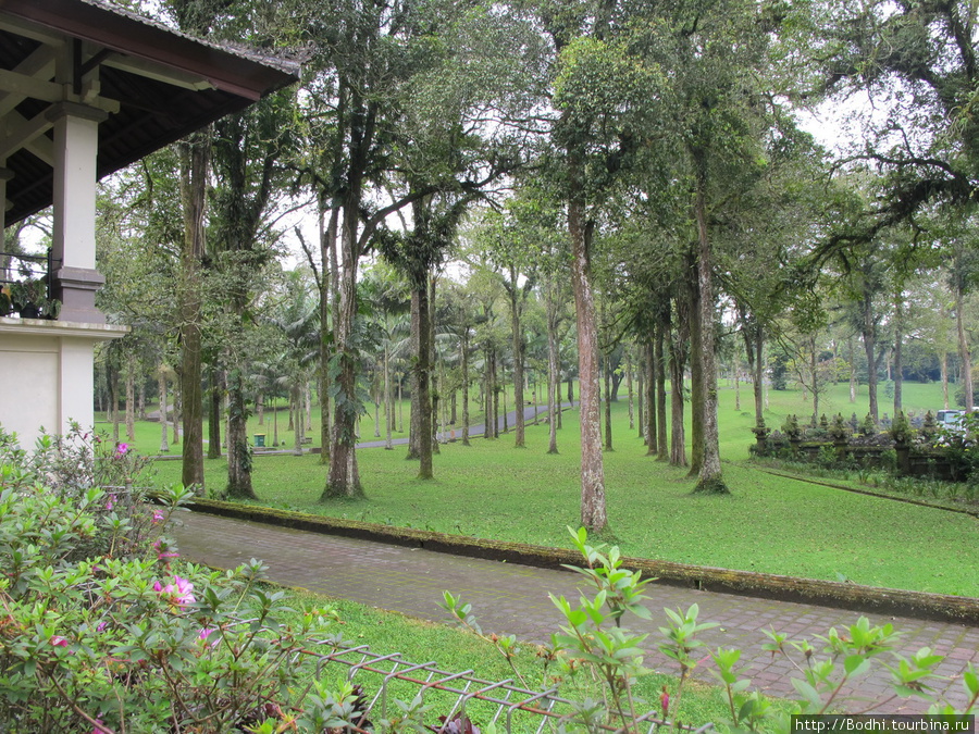 В 15 минутах ходьбы от парка у озера — большой ботанический сад. Там можно гулять часами, просто валяться на траве. Данау-Братан, Индонезия