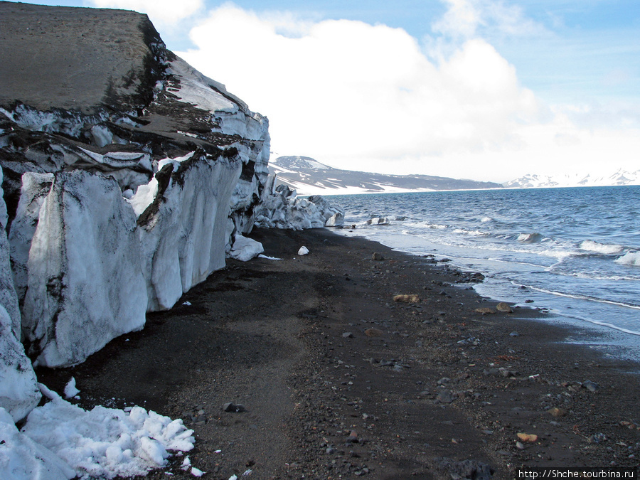 Я не стал подходить ближе, и снимал с такого расстояния... Остров Десепшн, Антарктида