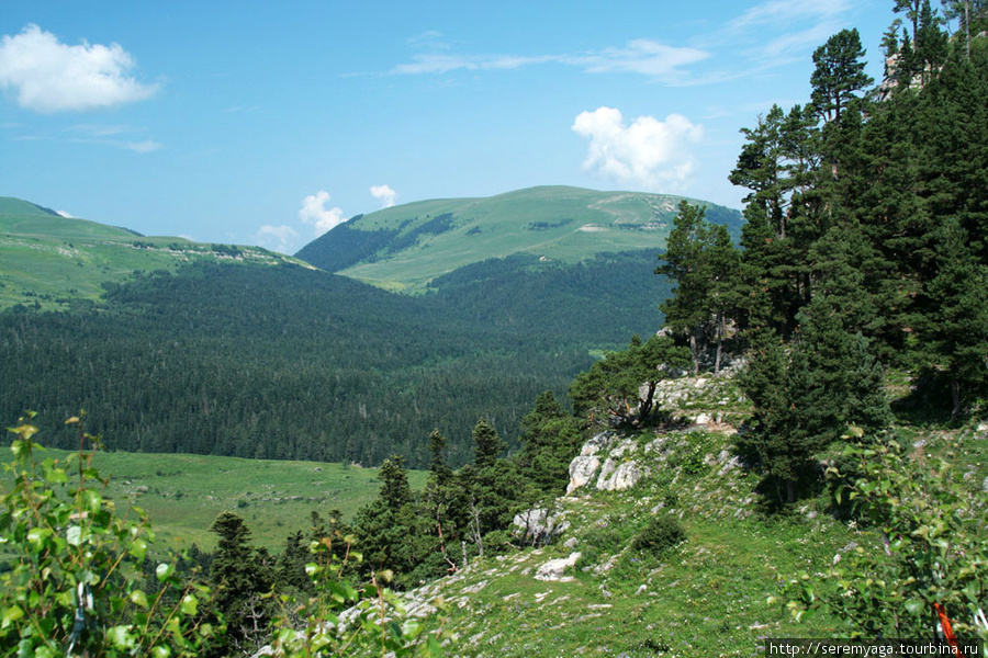 Плато Лаго-Наки Красная Поляна, Россия