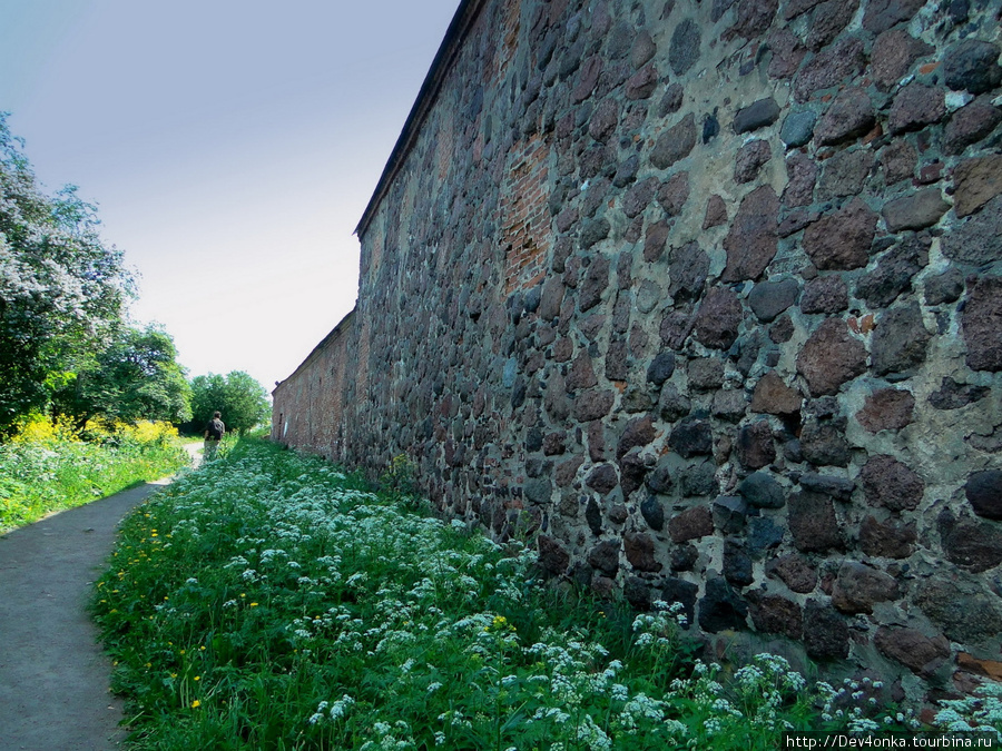 Мощные стены Выборгского замка Выборг, Россия
