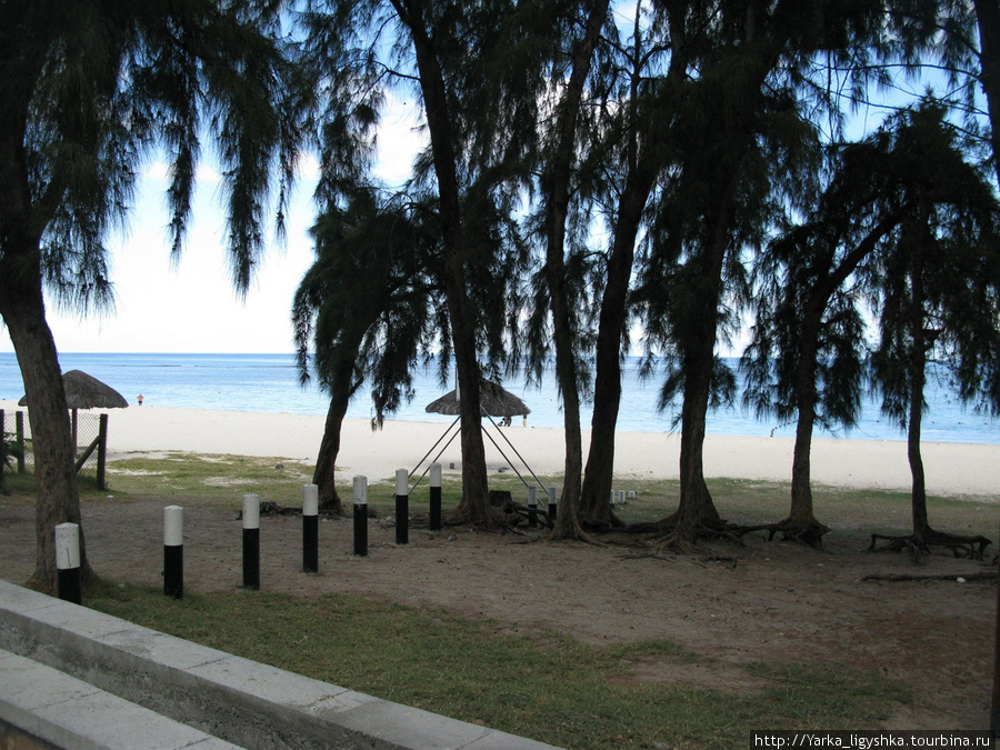Песчаный пляж с соснами Флик-ан-Флак, Маврикий