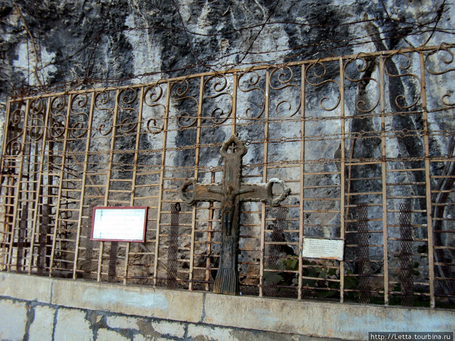 Лоза за оградой монастырь Острог, Черногория