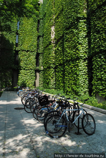 А так выглядит велостоянка у университетской лаборатории. Для студентов велосипед — популярный транспорт CША