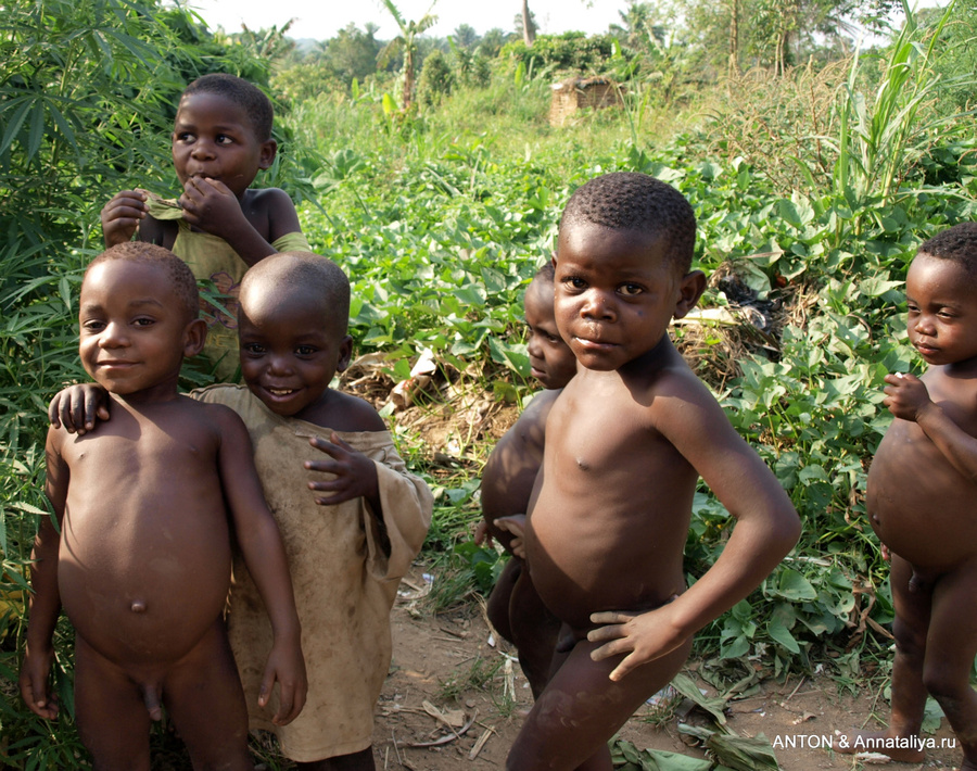 Пигмейские дети Семулики Национальный Парк, Уганда