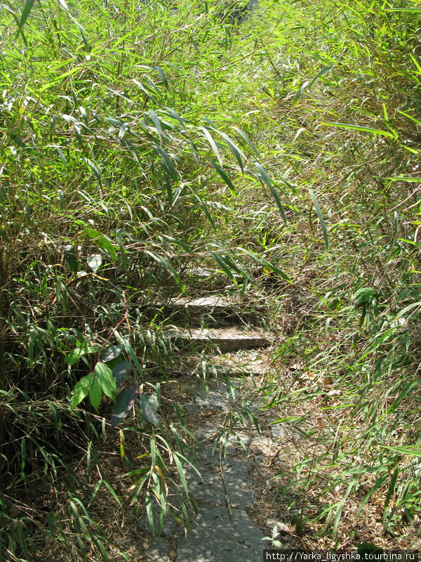 Трек Cangshan National Geopark Дали, Китай