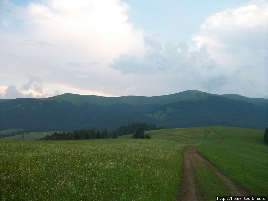 Прохладное лето в горах, и жаркое в предгорье Межгорье, Украина