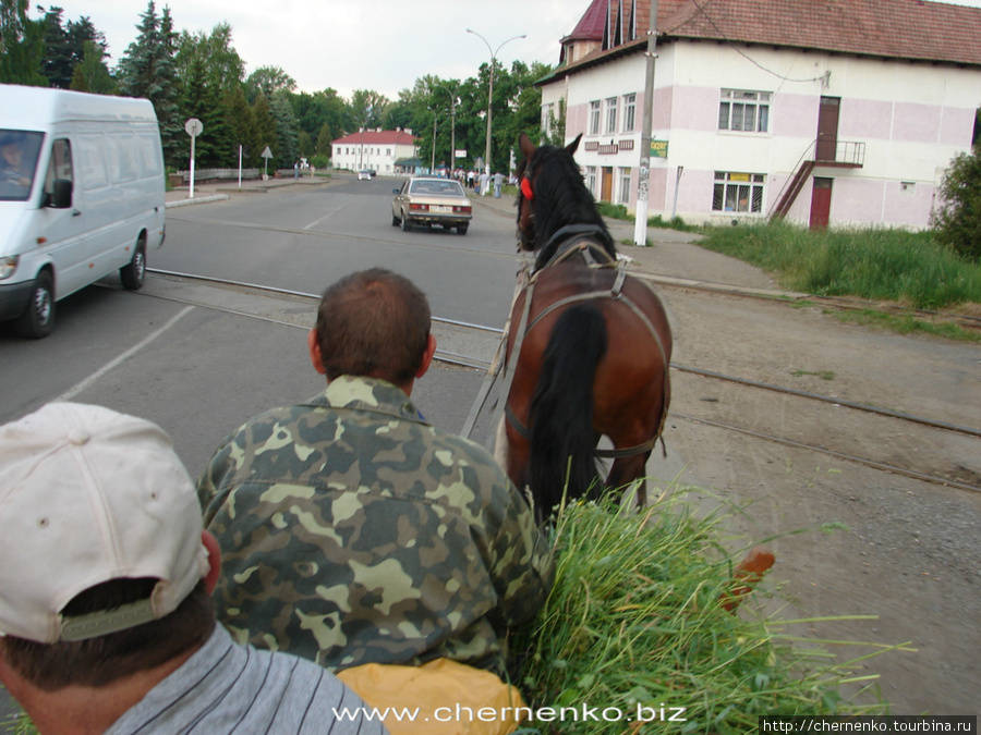 Лишение автостоперской девственности Закарпатская область, Украина