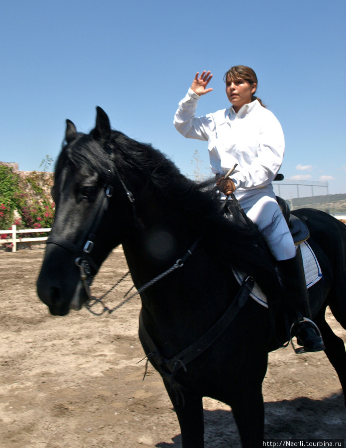 Танцующие мексиканские лошади Пуэбла, Мексика