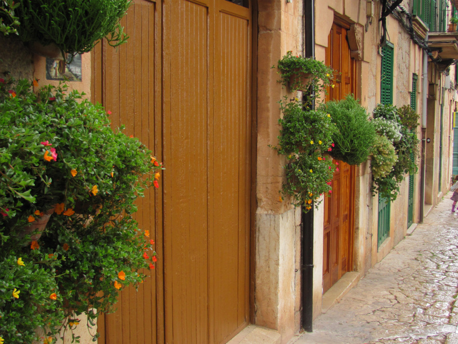 В старину подоконников не было, вот и украшали жители города свои дома просто вешая горшки с цветами на стены домов. Вальдемоса, остров Майорка, Испания