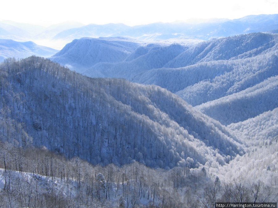 Веб камера адыгея. Адыгея горы зима. Природа Адыгеи в снегу. Адыгея зима фото. Адыгея зимой фото.