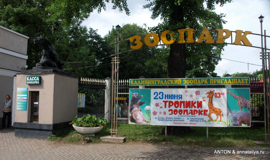 Зоопарк. Здесь был наш первый уже обычный КП Калининград, Россия