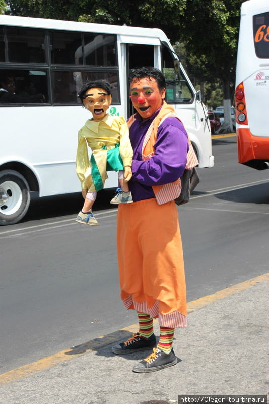Клоунада на дорогах Мексика