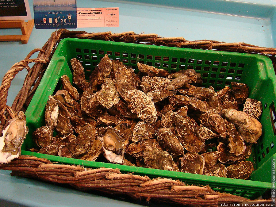 Проба устриц с рынка Аркашона Аркашон, Франция