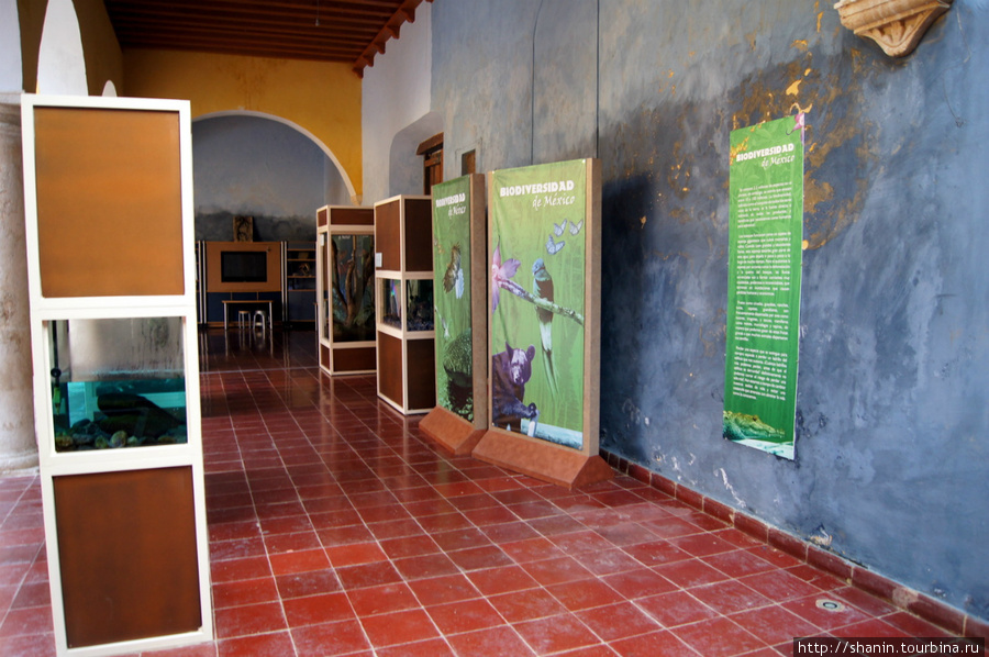 В музее естествознания в Кампече Кампече, Мексика