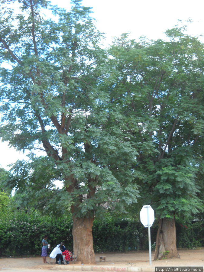 В тени деревьев посиживают местные жители Ливингстон, Замбия